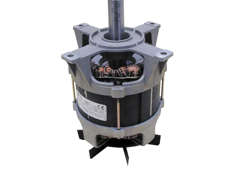Robot Coupe J80 Buffet Juice Extractor Juicer