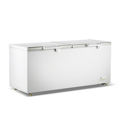 Thermaster 750L Chest Freezer With Stainless Steel Lid BD750F
