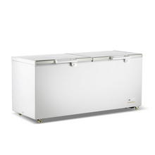 Thermaster 750L Chest Freezer With Stainless Steel Lid BD750F