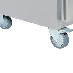 Thermaster Double Door Display Freezer SUFG1000