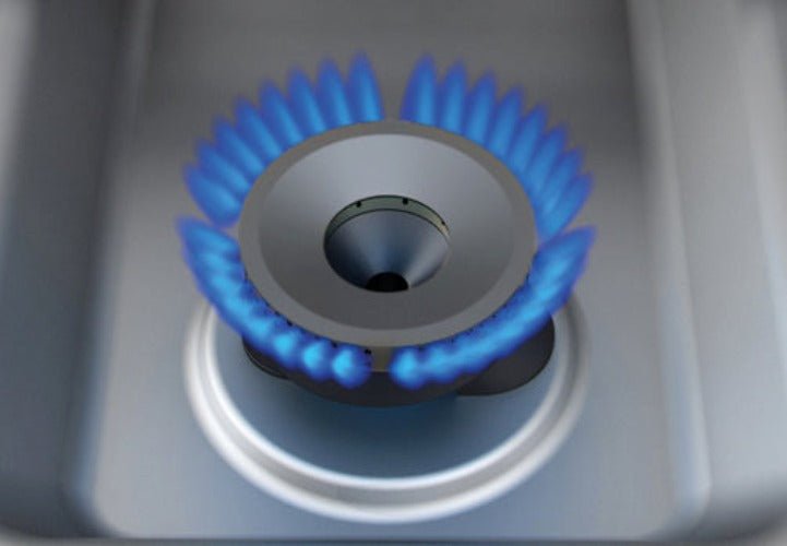 Fagor 900 Series Natural Gas 4 Burner CG9-41H