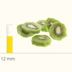 Dito Sama Stainless Steel Pressing/Slicing Disc With S-Blades (Balanced) 12 Mm DS650161