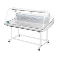 Polar G-Series Fish Display Serve Over Counter Fridge 255Ltr