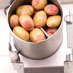 Hallde Vegetable Preparation Machine RG-250