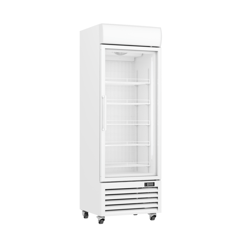 Thermaster 400L Upright Single Glass Door Freezer – LG-400PF