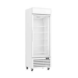 Thermaster 400L Upright Single Glass Door Freezer – LG-400PF